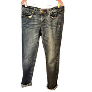 American Eagle Outfitters Dark Wash Skinny Jeans